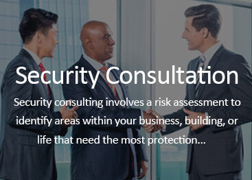 Atlanta security consultation services